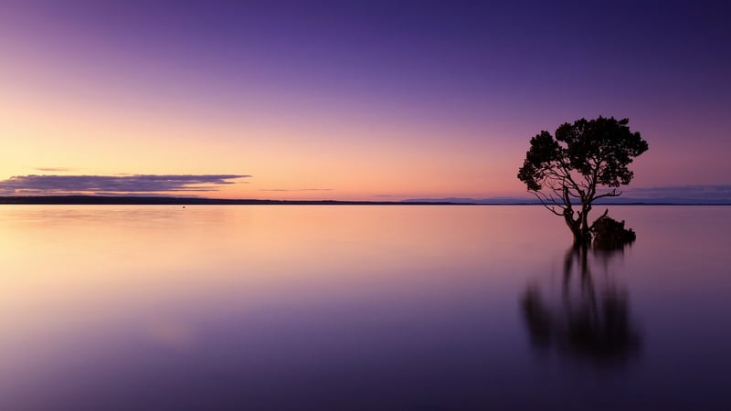 Nature Relaxation